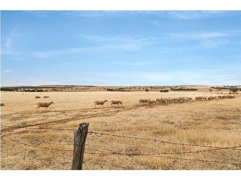 129 North Bremer Road, Callington SA 5254