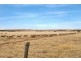 129 North Bremer Road, Callington SA 5254