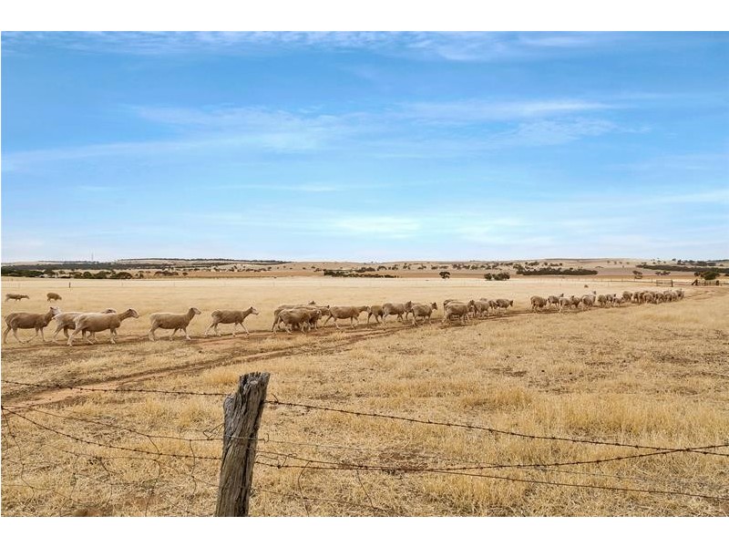 129 North Bremer Road, Callington SA 5254