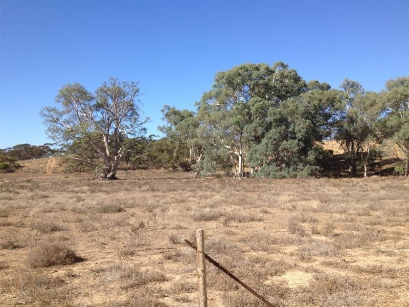 Lot 16 Marne River Road, Cambrai SA 5353