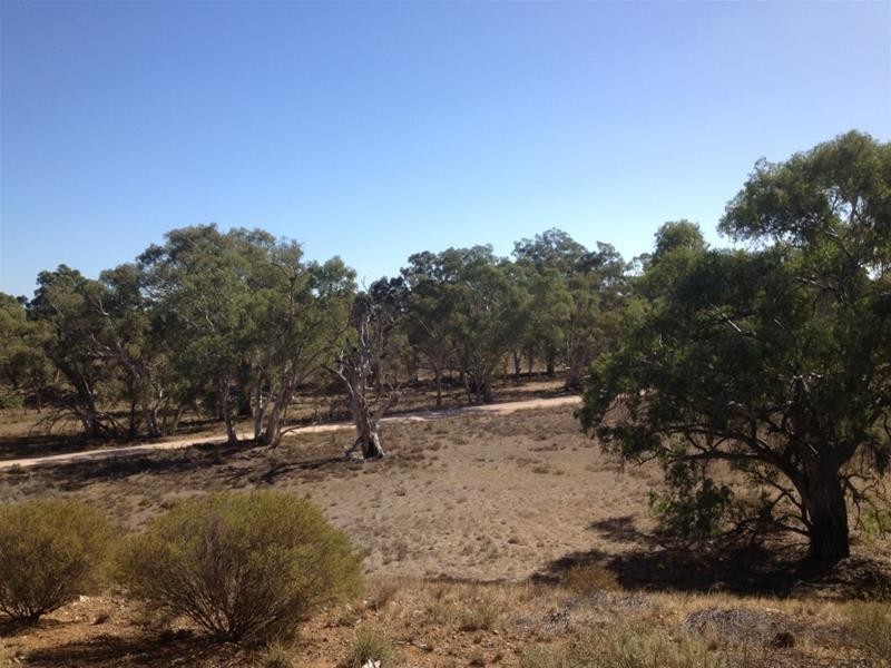 Lot 16 Marne River Road, Cambrai SA 5353