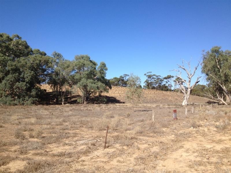 Lot 16 Marne River Road, Cambrai SA 5353