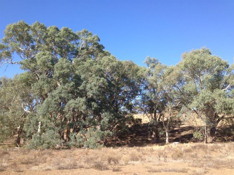 Lot 16 Marne River Road, Cambrai SA 5353