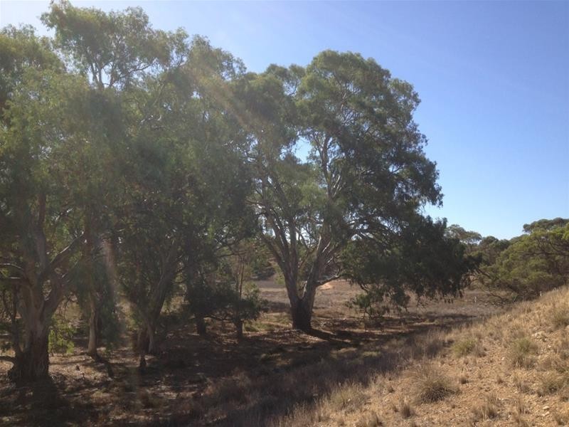 Lot 16 Marne River Road, Cambrai SA 5353