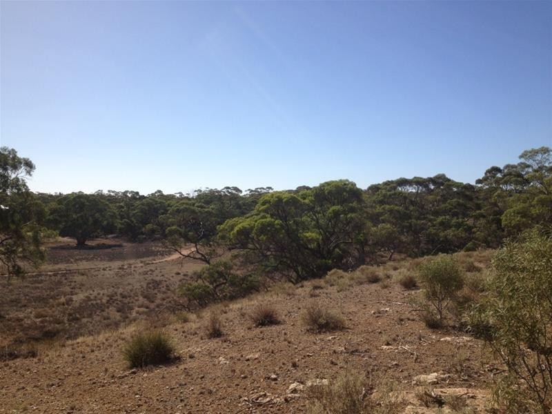 Lot 16 Marne River Road, Cambrai SA 5353