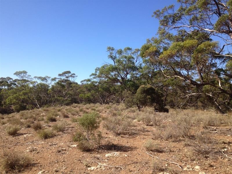 Lot 16 Marne River Road, Cambrai SA 5353