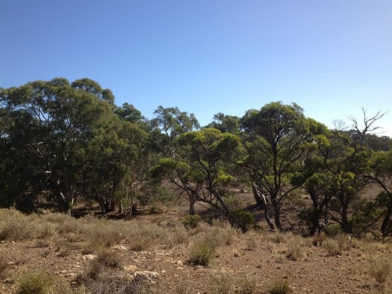 Lot 16 Marne River Road, Cambrai SA 5353