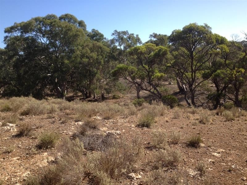 Lot 16 Marne River Road, Cambrai SA 5353