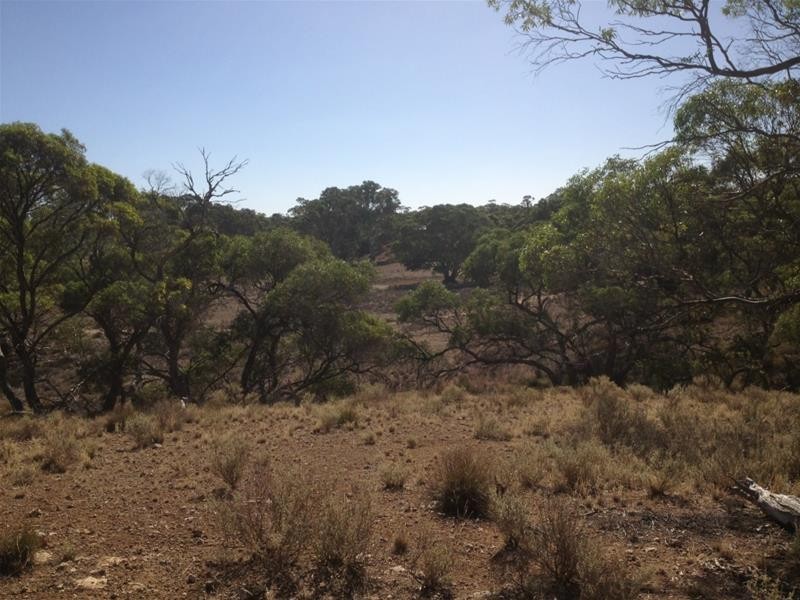 Lot 16 Marne River Road, Cambrai SA 5353