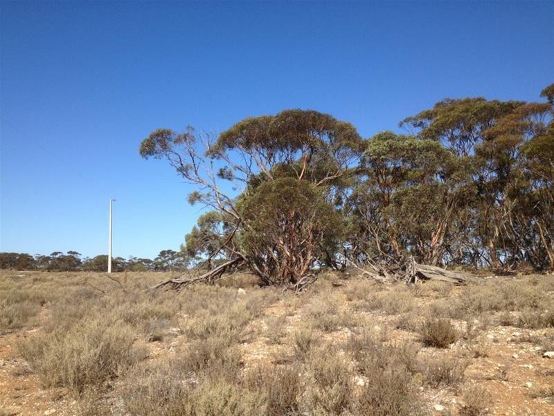 Lot 16 Marne River Road, Cambrai SA 5353