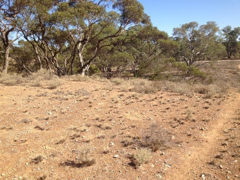 Lot 16 Marne River Road, Cambrai SA 5353