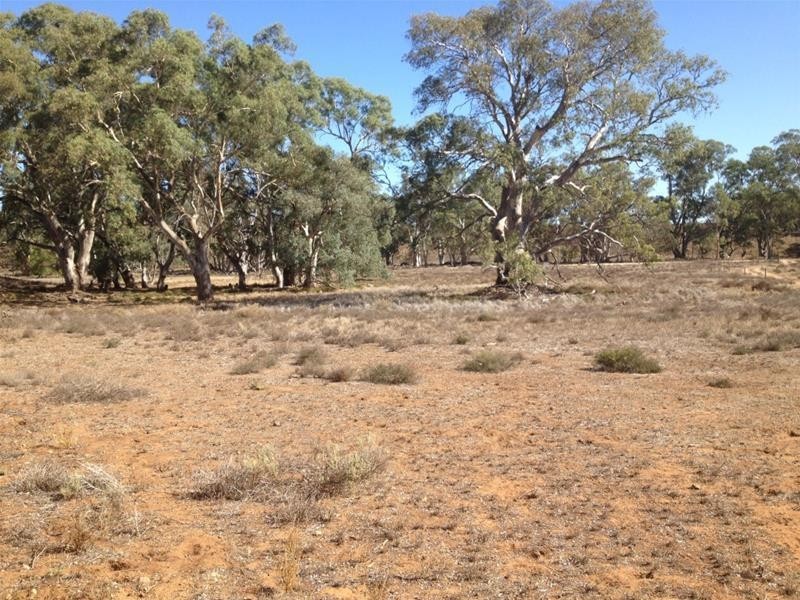 Lot 16 Marne River Road, Cambrai SA 5353