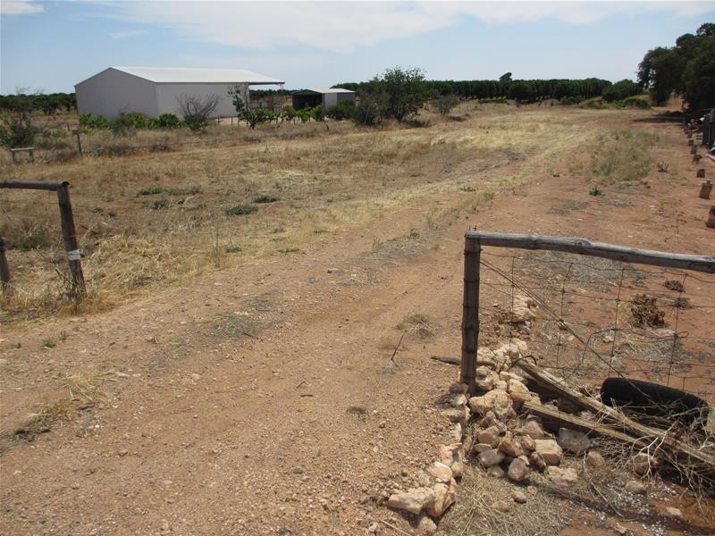 Lot 5 Greenways Road, Nildottie SA 5238