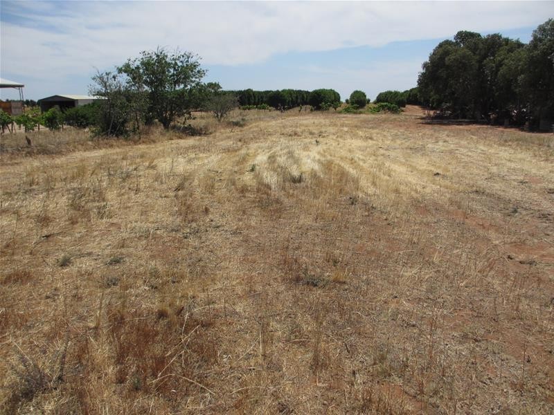 Lot 5 Greenways Road, Nildottie SA 5238