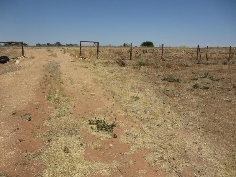 Lot 5 Greenways Road, Nildottie SA 5238