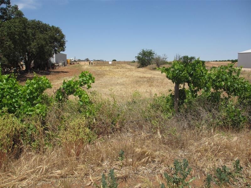 Lot 5 Greenways Road, Nildottie SA 5238