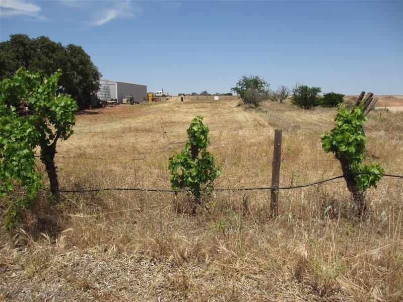 Lot 5 Greenways Road, Nildottie SA 5238