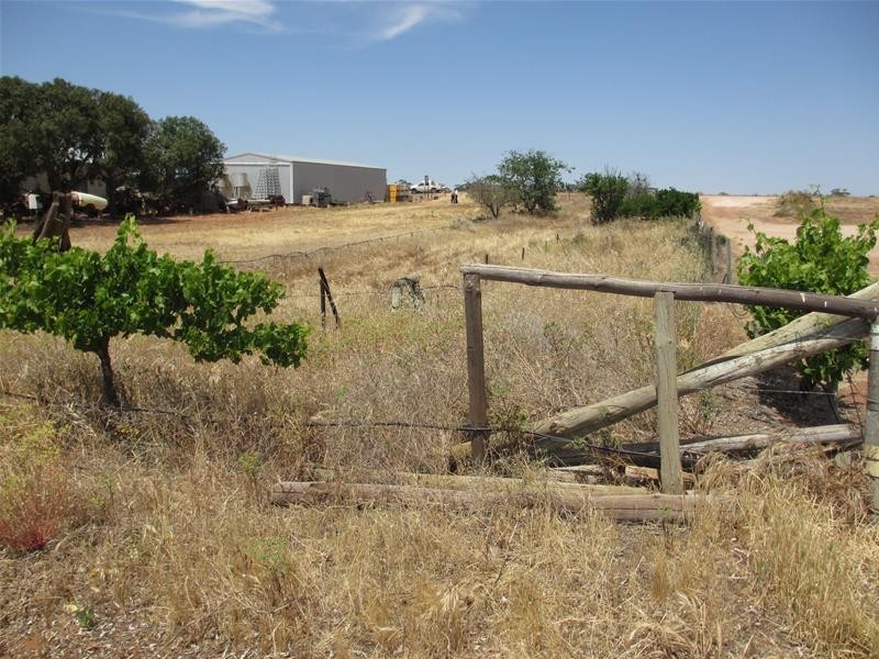 Lot 5 Greenways Road, Nildottie SA 5238