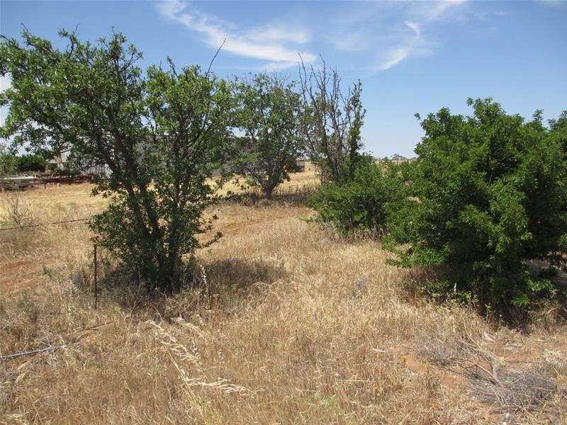 Lot 5 Greenways Road, Nildottie SA 5238