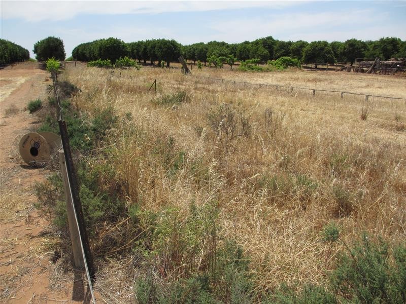 Lot 5 Greenways Road, Nildottie SA 5238