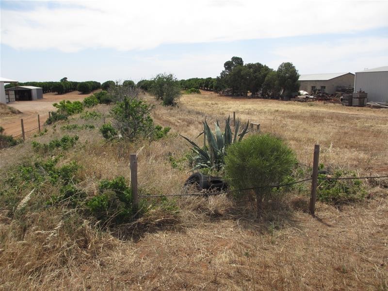 Lot 5 Greenways Road, Nildottie SA 5238