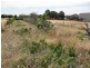 Lot 5 Greenways Road, Nildottie SA 5238