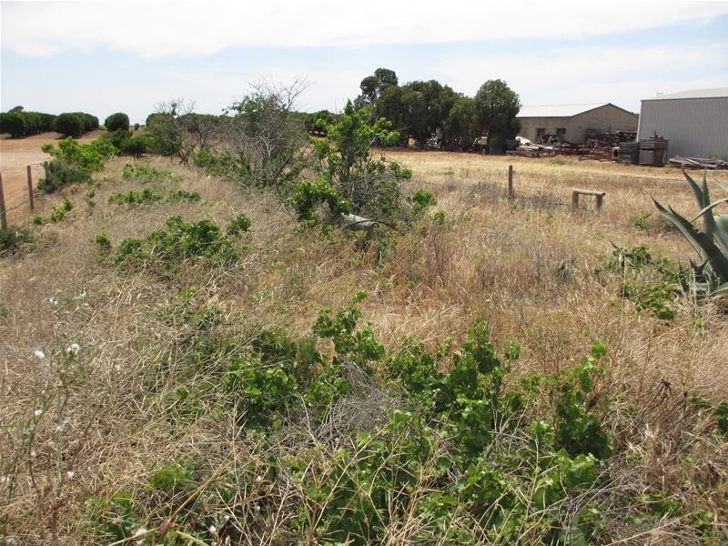 Lot 5 Greenways Road, Nildottie SA 5238