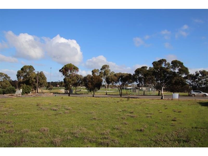 41 North  Terrace, Mannum SA 5238