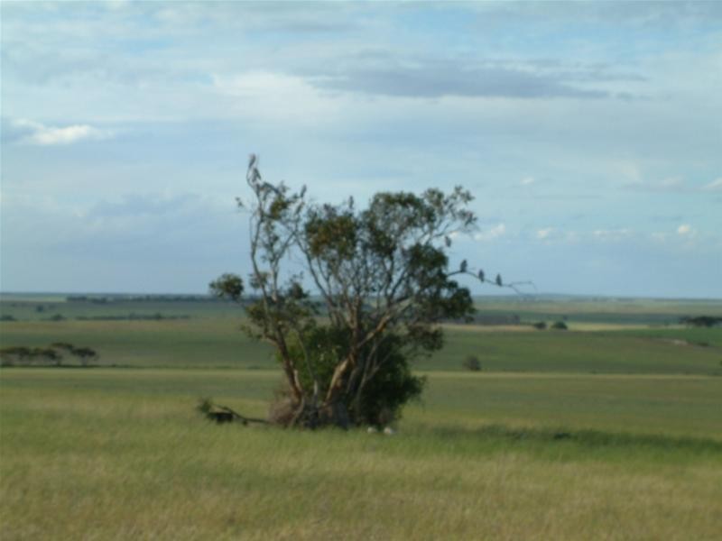 Lot 1, 2 and 3 / Sedan Road, Mannum SA 5238