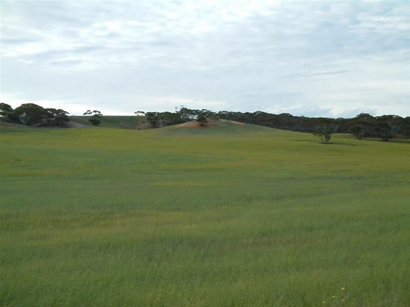 Lot 1, 2 and 3 / Sedan Road, Mannum SA 5238