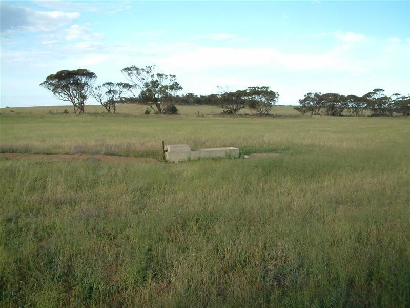 Lot 1, 2 and 3 / Sedan Road, Mannum SA 5238