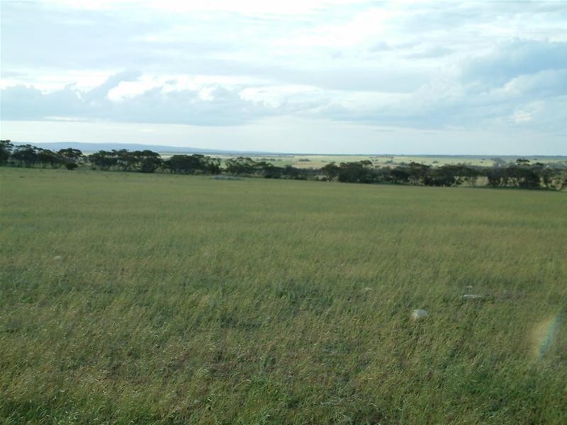 Lot 1, 2 and 3 / Sedan Road, Mannum SA 5238