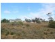 Lot 22 Greenshields Road, Younghusband SA 5238