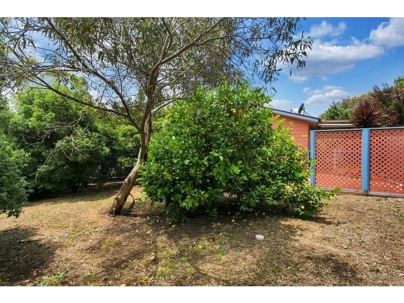 1a Angas Street, Springton SA 5235