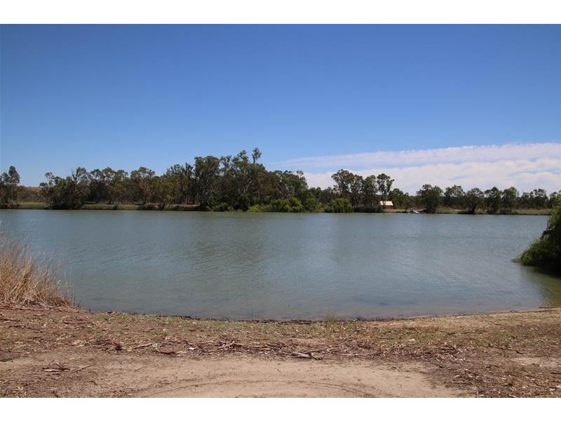 1 River Reserve Road, Swan Reach SA 5354