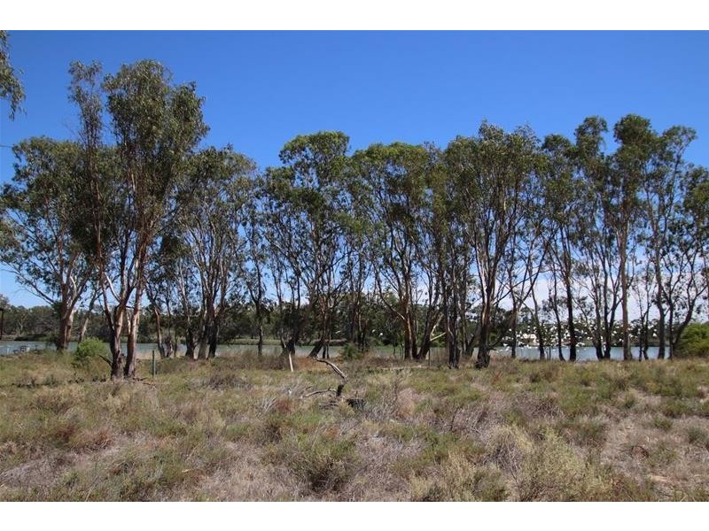 1 River Reserve Road, Swan Reach SA 5354