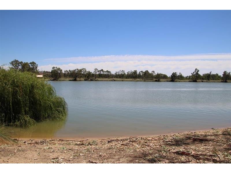 1 River Reserve Road, Swan Reach SA 5354