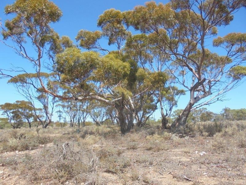 248 Bedrock Road, Swan Reach SA 5354