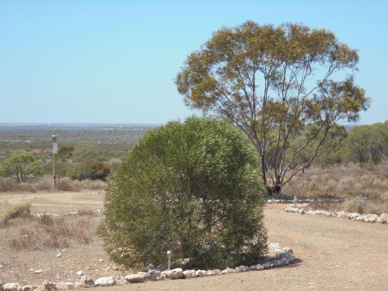 248 Bedrock Road, Swan Reach SA 5354