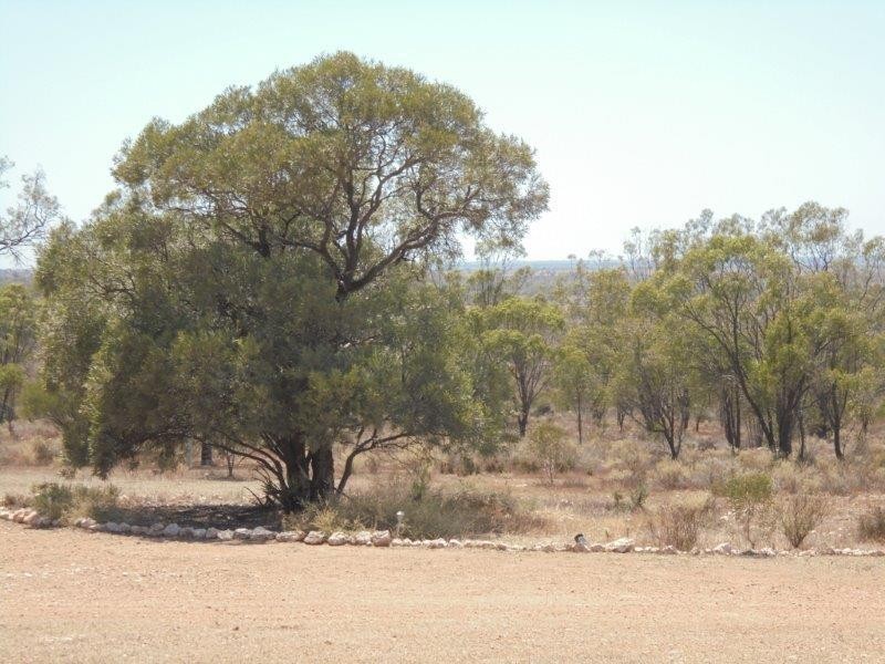 248 Bedrock Road, Swan Reach SA 5354