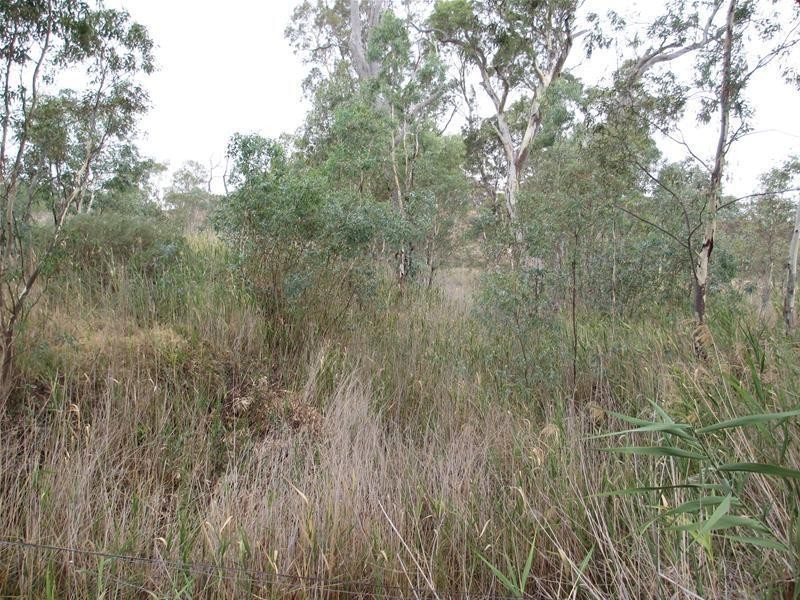 2139 Black Hill Road, Black Hill SA 5353