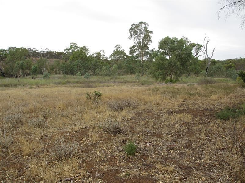 2139 Black Hill Road, Black Hill SA 5353