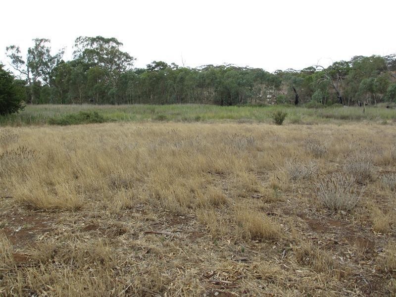 2139 Black Hill Road, Black Hill SA 5353