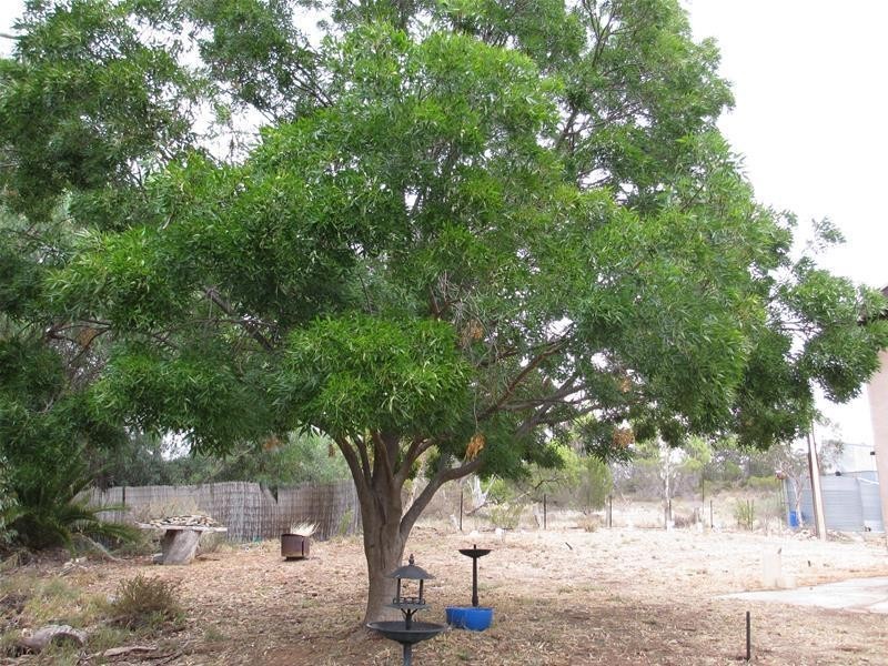 2139 Black Hill Road, Black Hill SA 5353