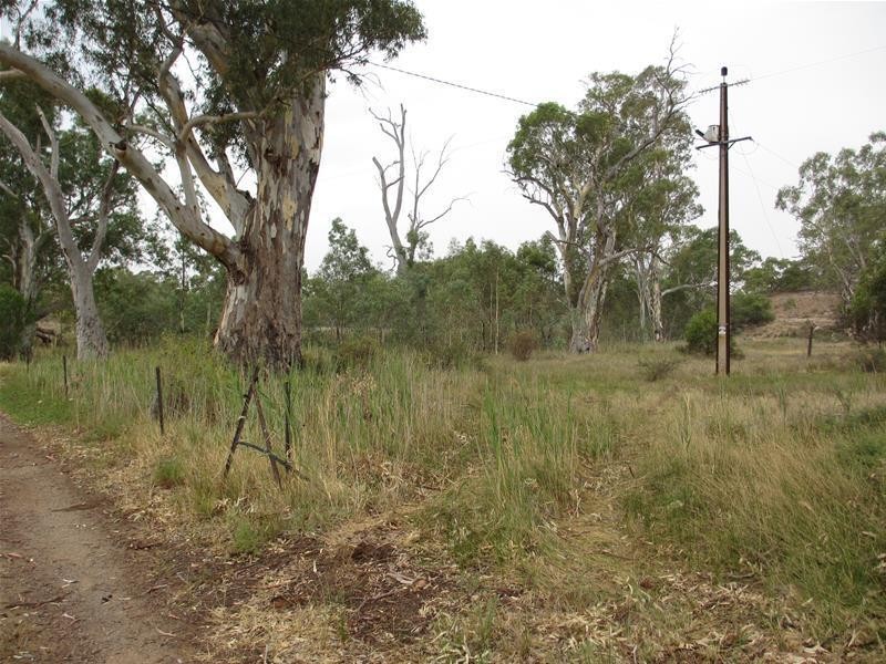 2139 Black Hill Road, Black Hill SA 5353