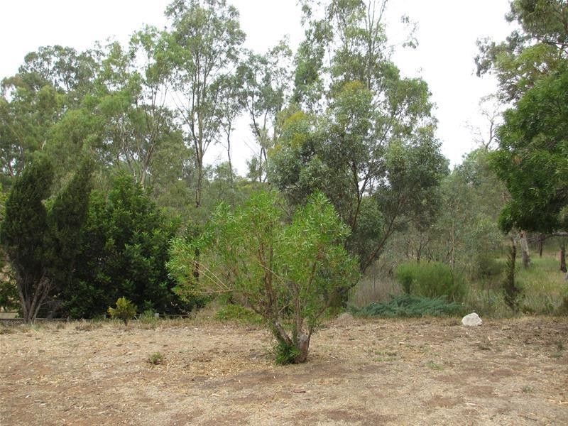 2139 Black Hill Road, Black Hill SA 5353