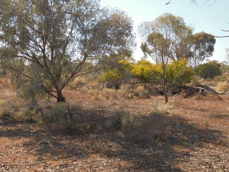 75 Bedrock Road, Swan Reach SA 5354