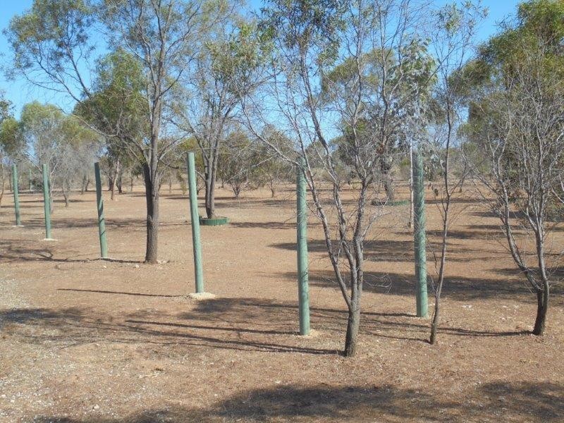 75 Bedrock Road, Swan Reach SA 5354