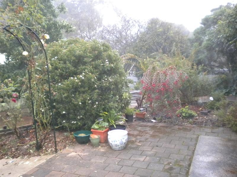 15 Saleyard Road, Mount Pleasant SA 5235