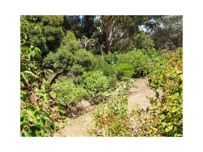 6 William Street, Mount Pleasant SA 5235